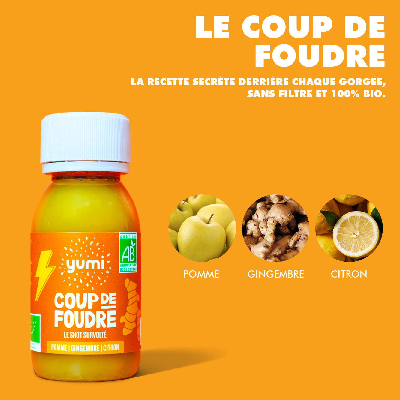 Coffret de shots de gingembre : Coup de Foudre